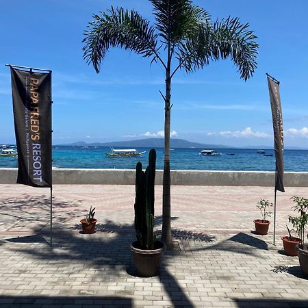 Papa Freds Beach Resort Пуерто-Галера Екстер'єр фото