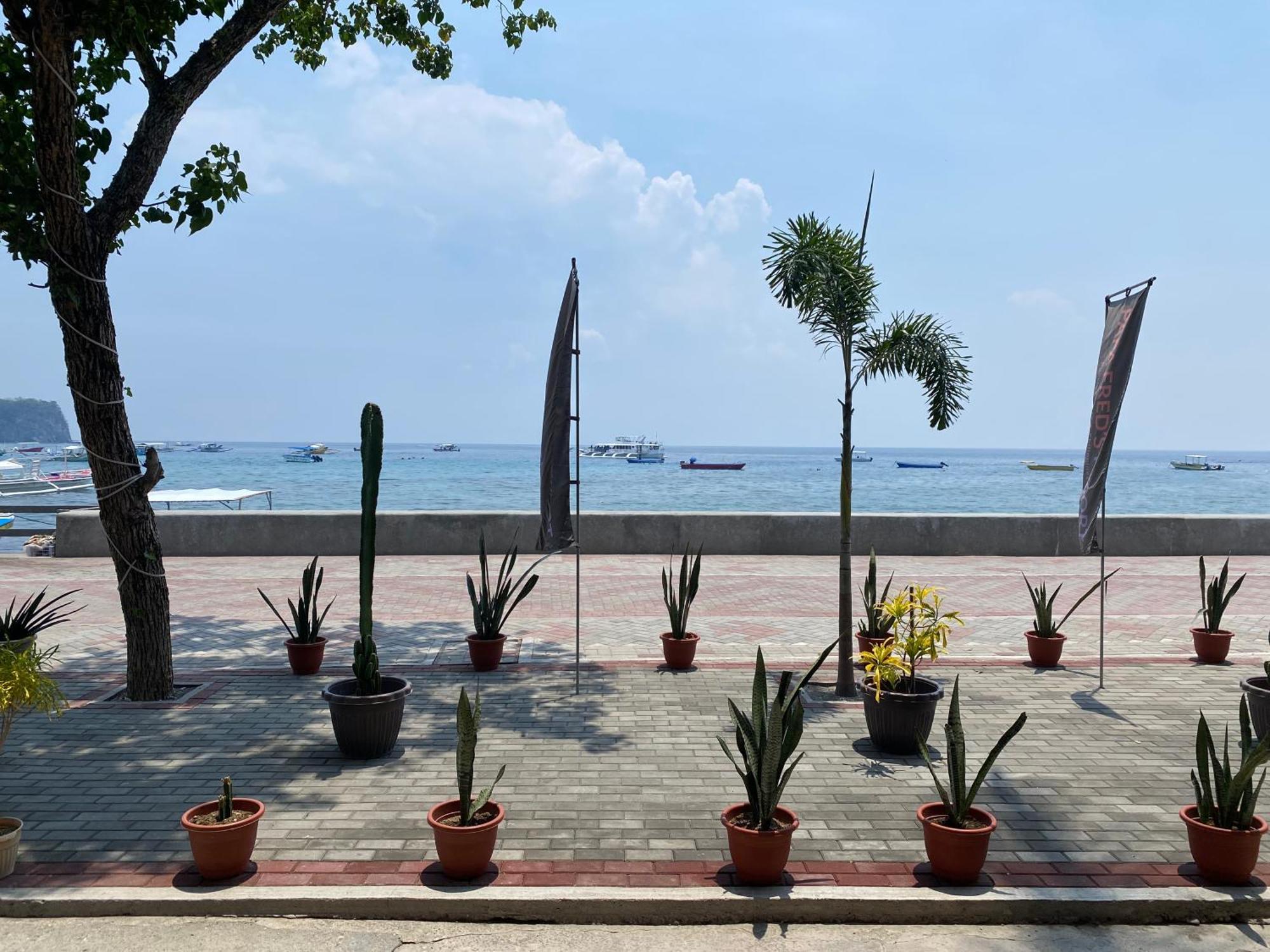 Papa Freds Beach Resort Пуерто-Галера Екстер'єр фото